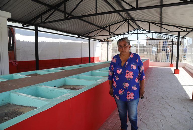 Recuperación de lavaderos comunitarios en San Pedro Tlaltizapán
